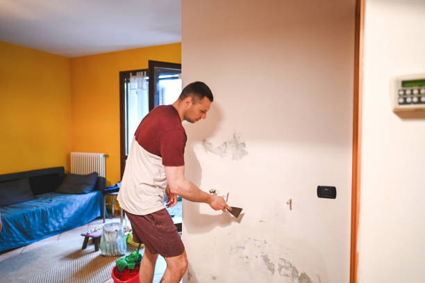 Best Mold Removal and Inspection  in Tillmans Corner, AL